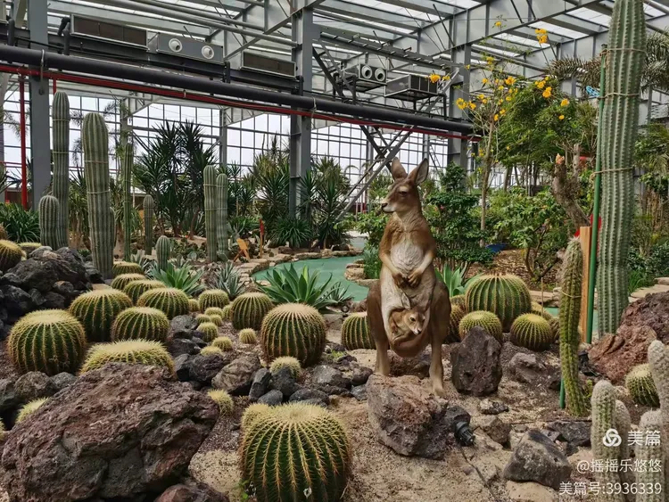 金沙洲壹号庄园